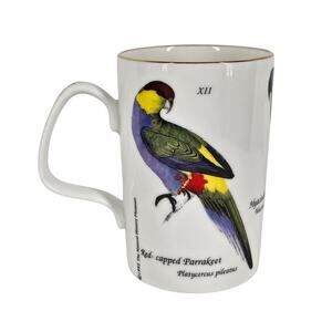 STAFFORDSHIRE VINTAGE TABLEWARE MUG – XII, VI, LXV PARROTS & PARAKEETS SERIES